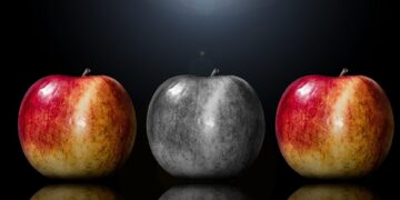 Unique Travel Ideas for Food Lovers