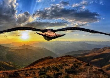 Top Travel Safety Tips for First-Time Flyers