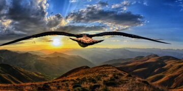 Top Travel Safety Tips for First-Time Flyers