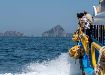 What You Need to Know About Travel Insurance in 2024