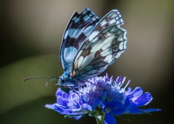 Stunning Lakeside Destinations for Exploration