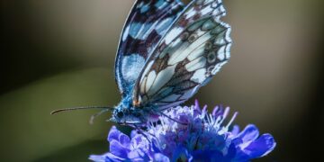 Stunning Lakeside Destinations for Exploration