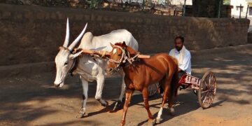 Incredible Desert Adventure Travel Ideas