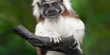 Top Adventure Islands for Travel Enthusiasts