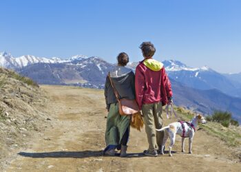 The Future of Eco-Tourism in 2024 and Beyond