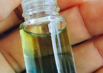 Essential Travel Guides for Historical Cities