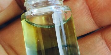 Essential Travel Guides for Historical Cities