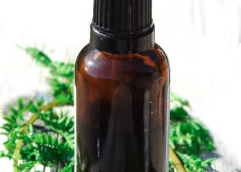 Essential Tips for Staying Healthy Abroad