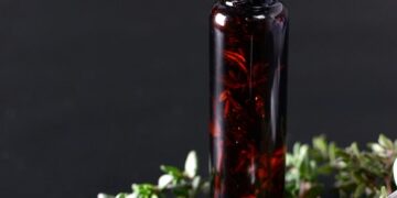 Essential Safety Tips for Using Public Transport