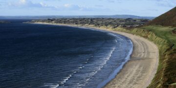 Best Coastal Road Trip Ideas for Travelers