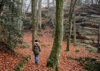 Best Hiking Trails for Nature Lovers