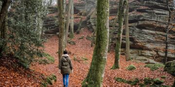 Best Hiking Trails for Nature Lovers