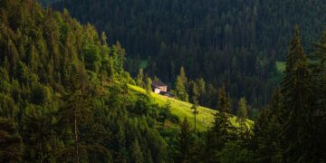 Travel Bans and Restrictions Around the World