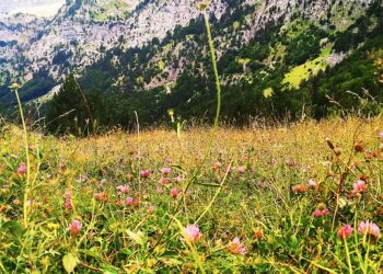 Incredible Ideas for Arctic Exploration Trips