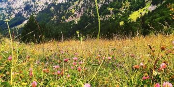 Incredible Ideas for Arctic Exploration Trips