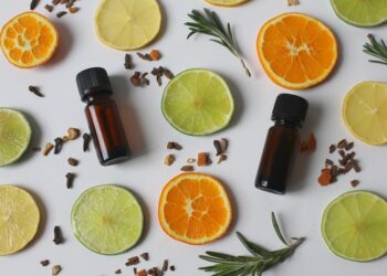 Essential City Guides for First-Time Visitors