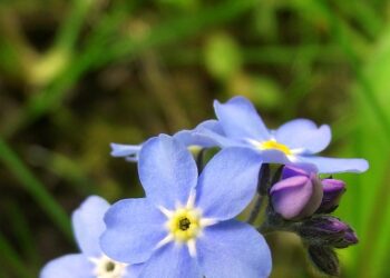 Unforgettable Glacier Hiking Destinations