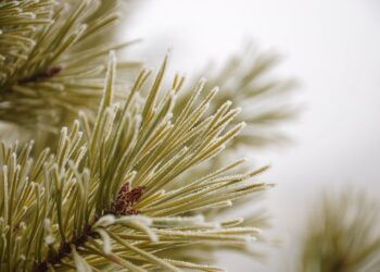 Unforgettable Travel Ideas for Couples