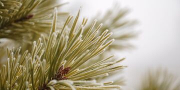 Unforgettable Travel Ideas for Couples