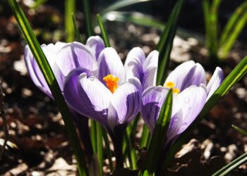 The Ultimate Guide to Wellness Retreats in 2024