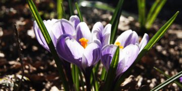 The Ultimate Guide to Wellness Retreats in 2024