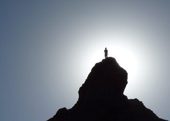 Top Travel Guides for Rainforest Adventures