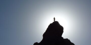 Top Travel Guides for Rainforest Adventures