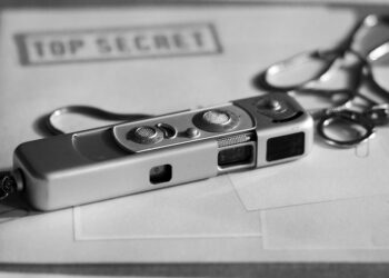 Top Destinations for Wildlife Safaris