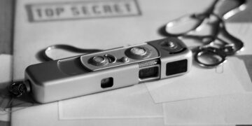 Top Destinations for Wildlife Safaris