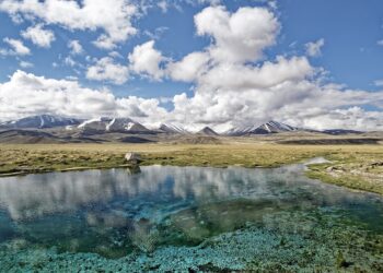 Best National Parks for Scenic Adventures