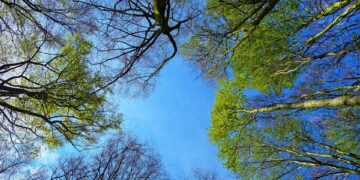 Top Mountain Getaways for Adventure Travelers