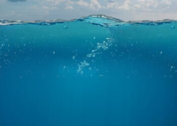 Best Underwater Adventures for Divers