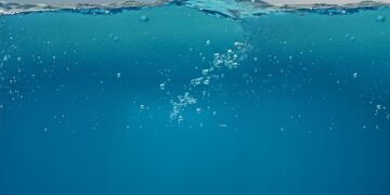 Best Underwater Adventures for Divers