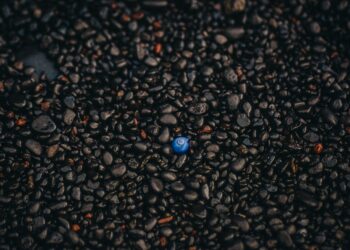 Unique Travel Ideas for Family Vacations