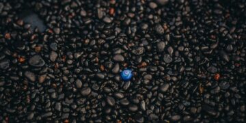 Unique Travel Ideas for Family Vacations