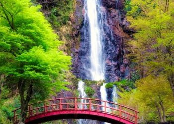 Best Travel Ideas for Solo Explorers