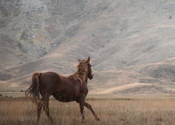 Breathtaking Waterfall Adventures to Discover
