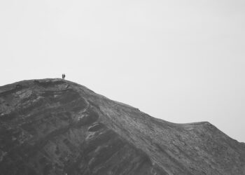 Top Tropical Rainforest Adventures to Experience