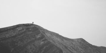 Top Tropical Rainforest Adventures to Experience