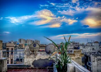 Top Travel Guides for Thrilling Jungle Treks