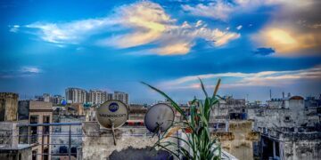 Top Travel Guides for Thrilling Jungle Treks