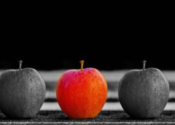 Unique Travel Ideas for Exploring Waterfalls