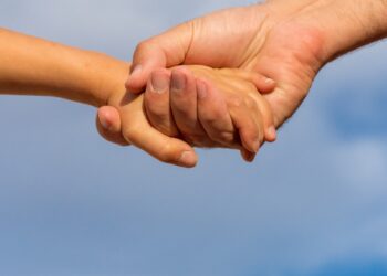 Best Guides for Scenic Biking Routes