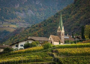 What You Should Know About New Travel Vaccination Rules