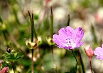 How to Avoid Common Travel Injuries