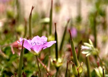 How to Avoid Unsafe Areas While Traveling