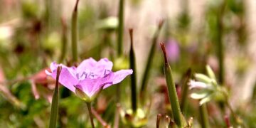 How to Avoid Unsafe Areas While Traveling