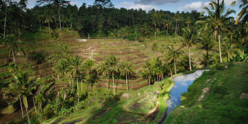 San Francisco – Bali, Indonesia. 2. Roundtrip, including all Taxes – The Flight Deal