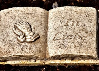 Unforgettable Safari Expeditions Across Africa