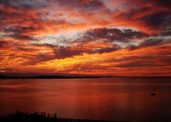 Breathtaking Fjord Cruises for Explorers